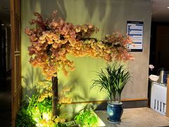 -合和大唐(江夏纸坊店)