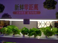 -盒马鲜生(大成店)