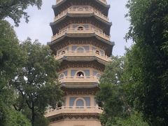 -灵谷景区
