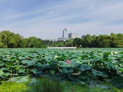 -长春市南湖公园