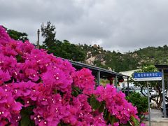 -台山黑沙湾海浴场