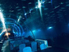 -海棠湾洲际-涛·海底餐厅·美人鱼·自助餐·海底隧道