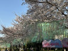 -堤角公园