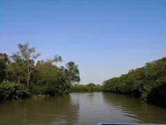 -大湾区中央湿地公园