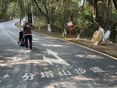 -分塔山省级森林公园