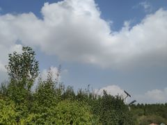 -鄂尔多斯野生动物园