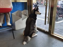 -KYO COFFEE(胶州路店)