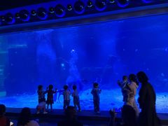 -石家庄海洋公园