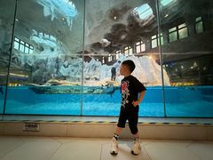 -帝企鹅自助餐厅•儿童岛•真企鹅(长隆企鹅酒店)