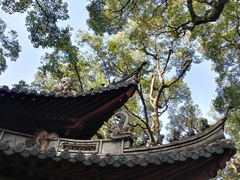-普陀山风景区-佛顶山