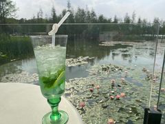 -白鹭湾湿地公园