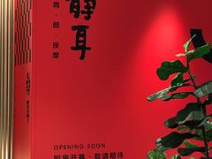 -静耳元気采耳·按摩·SPA(万象前海店)