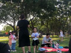 -万绿园
