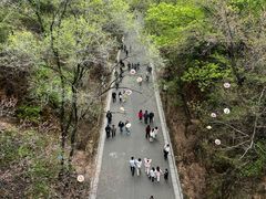 -北山公园