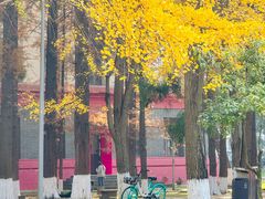 -四川大学(望江校区)