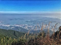 -梧桐山风景名胜区