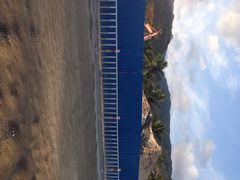 金棕榈酒店-三亚亚龙湾金棕榈度假酒店