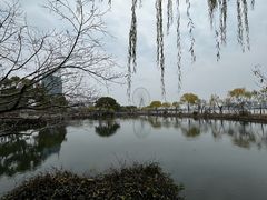 -无锡蠡湖国家湿地公园-蠡园