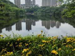 -重庆彩云湖湿地公园
