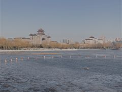 -莲花池公园