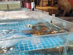 -和源祥·日照菜扛把子(万平口一店)