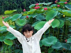 -池杉湖湿地公园