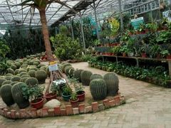 -广东茂名森林公园