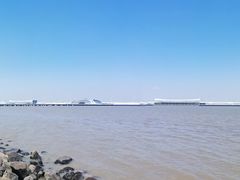 -上海吴淞炮台湾国家湿地公园