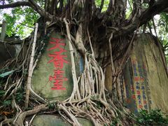 -乌山风景区