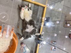 -狗道宠物(常熟印象城店)