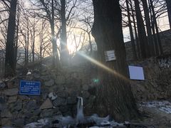 -阳台山自然风景区