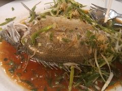 -金唐海鲜酒家