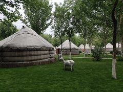 -九十九顶毡房(阜石路店)