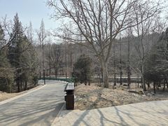 -白水寺森林公园