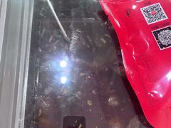 -鸿运兔·手撕烤兔(天府广场店)