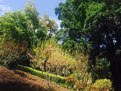 -乌山风景区