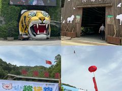 -栾川竹海野生动物园
