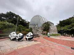 -石排湾郊野公园