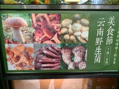 -缘生态云南菜·野生菌庭院餐厅(华侨城店)