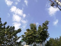 -葛仙湖公园