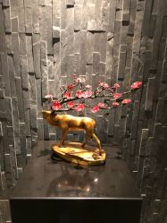 -北京明德医院·医疗美容
