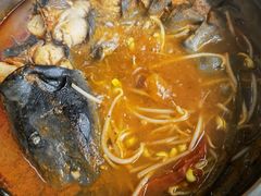 鲶鱼酸汤鱼锅-弘烨 贵州酸汤 鱼火锅(东财店)