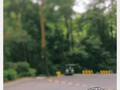 -广州市帽峰山景区