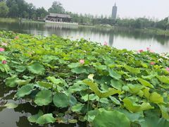 -西海子公园