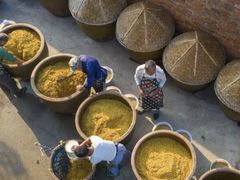 -苏州市吴中区光福窑上花果蜜饯厂