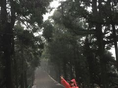 -南岳衡山风景名胜区