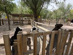 -水上乐园·欢乐世界