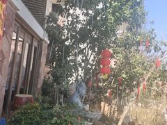 -天芳悦潭度假村温泉