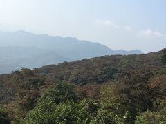 -广州市石门国家森林公园