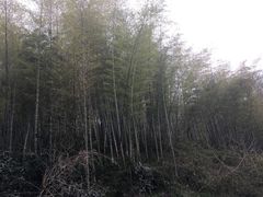 -紫金山天文台
